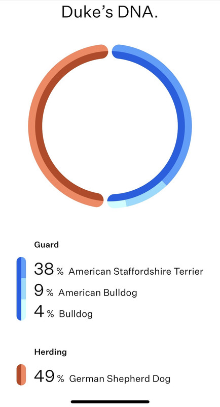 8C0B7EB0-BA7E-4A8E-AC04-D350B5C324E5