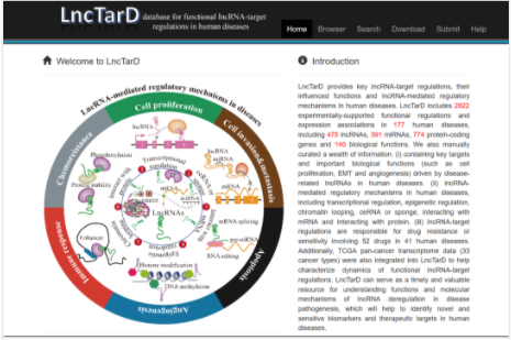 lncRNA-靶基因调控分析工具-1.png