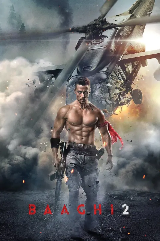 Baaghi 2 2018 Hindi ORG 1080p 720p 480p BluRay x264 ESubs
