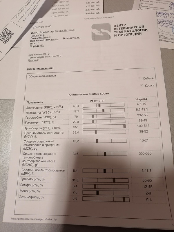 IMG-b096061ce6159d29b3427eebaec3d58e-V