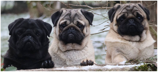 sandrine-di-fraja-garcia2-blog