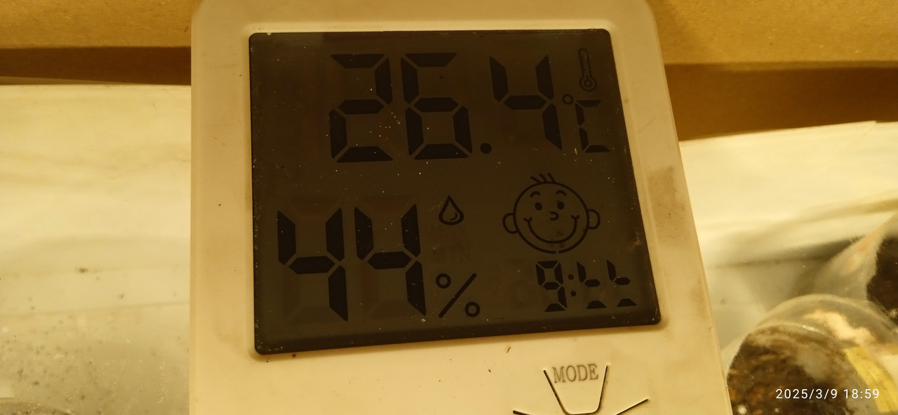 748