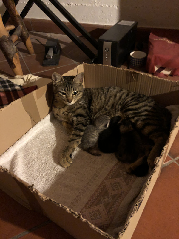 818-E8-D67-14-DC-43-D0-94-D8-920-DFED16-