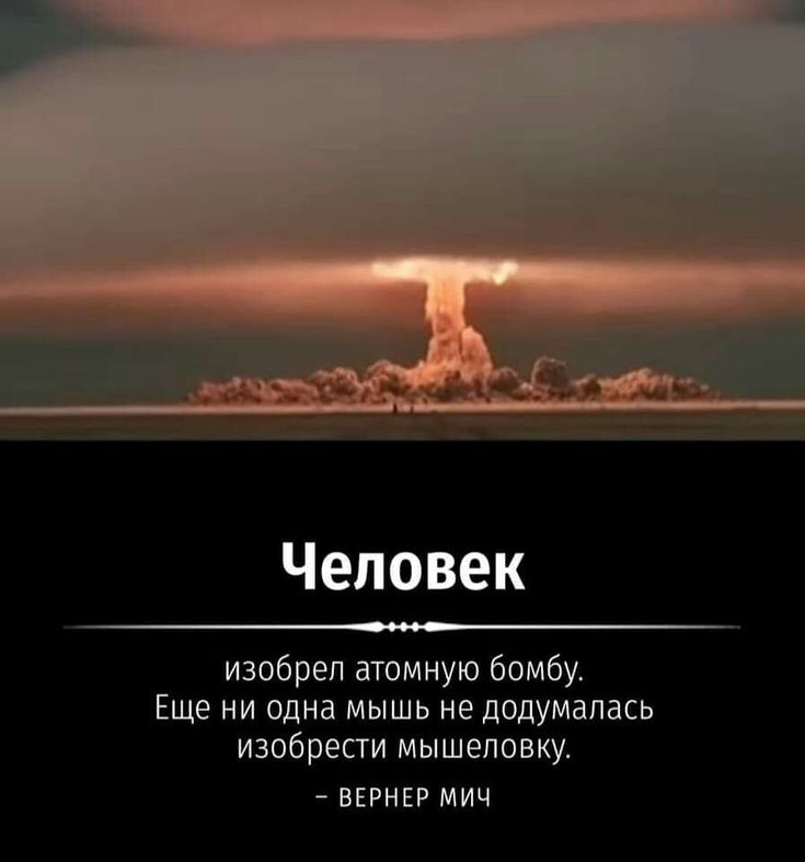[Изображение: 9360790338ce876df0458141747d6feb.jpg]