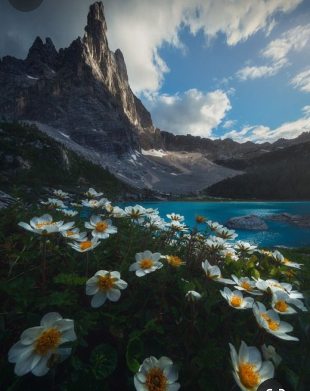 Screenshot_20240320_232752_Pinterest