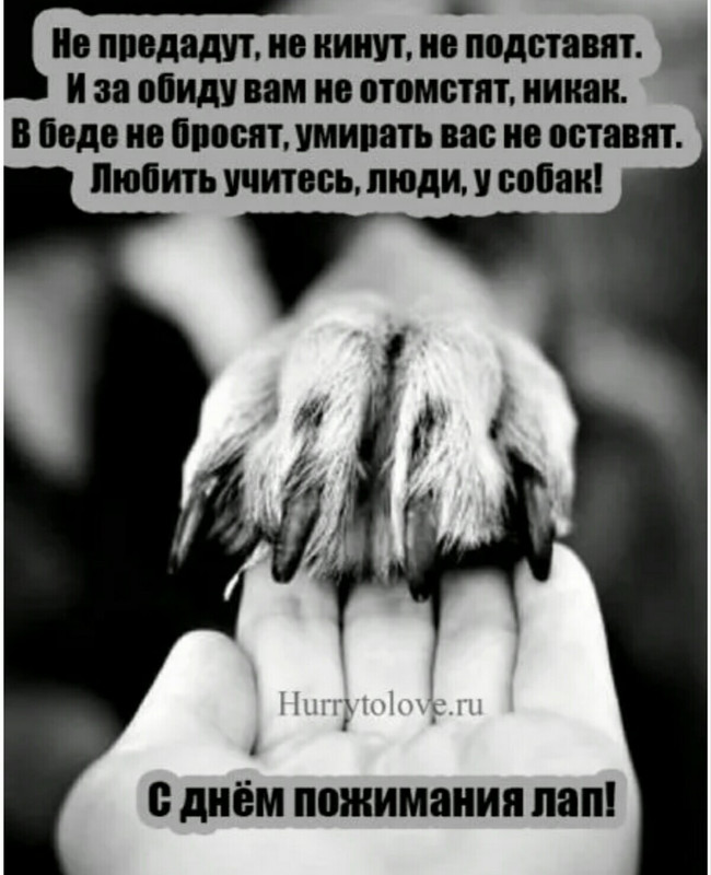 _20231220_225725