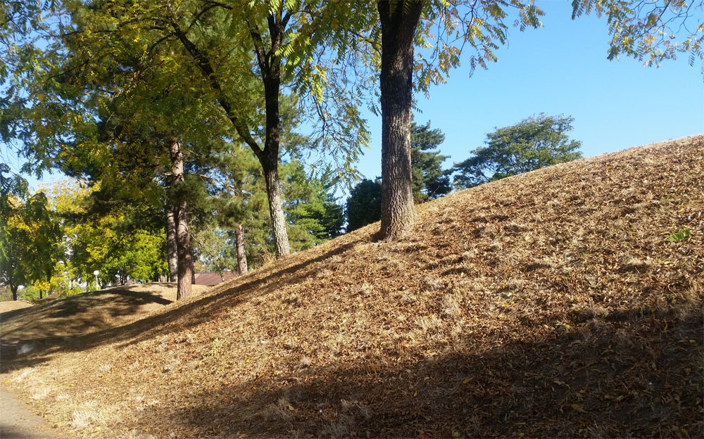 [Image: y20181004_105248.jpg]