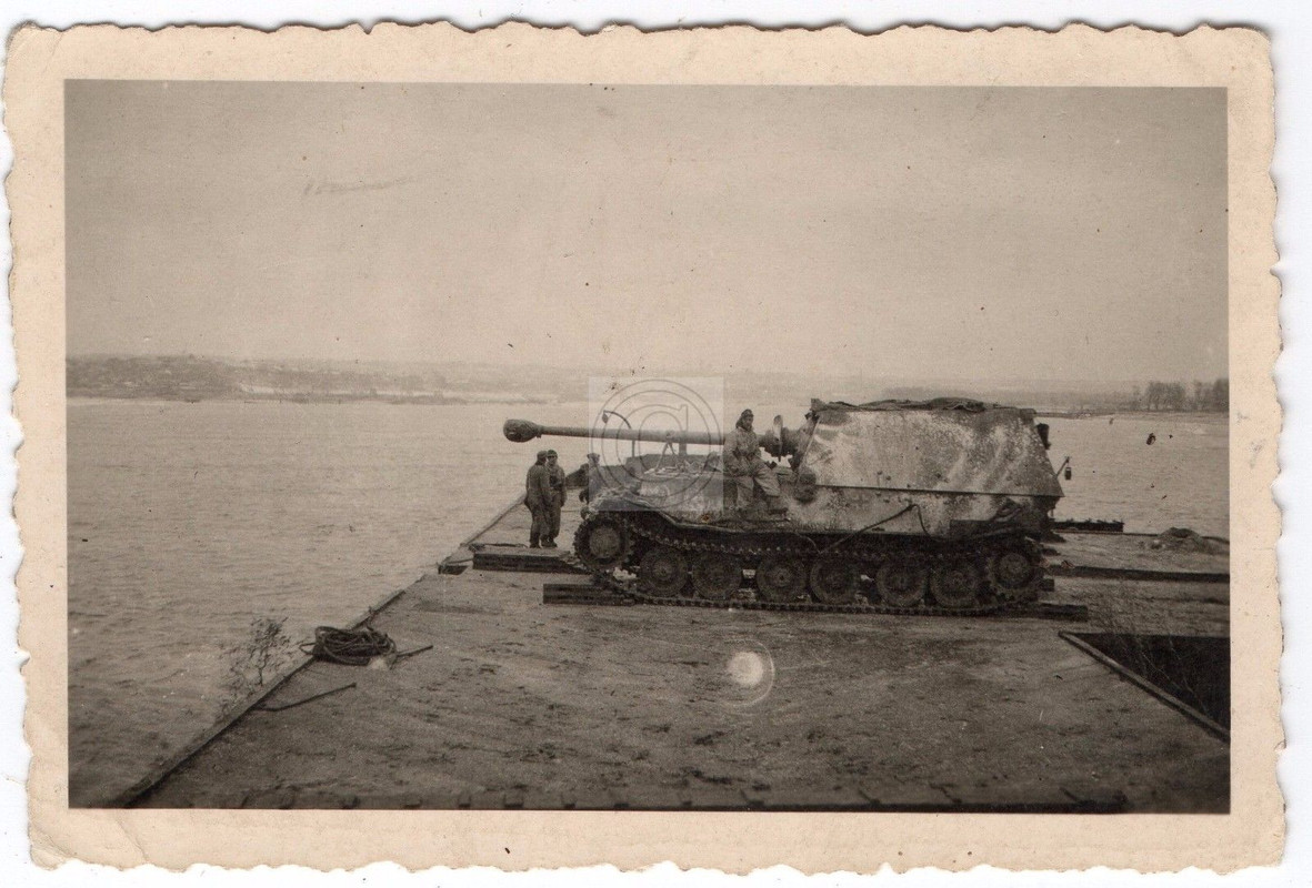 Panzerjäger Tiger (P) Ferdinand,Sd.Kfz. 184 Camo in Tarnopol by 
