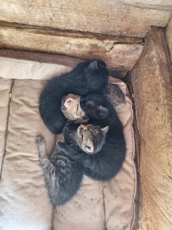 IMG-89bc0a0d08e99bbcec488ec9c568613a-V