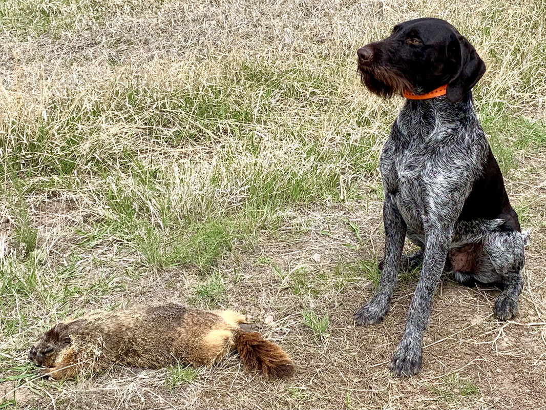 33AEBDE4-EAE7-451E-9F33-2840FCED3CAB