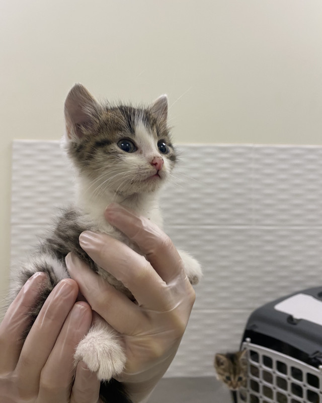 6DF781AA-9B8E-4904-B2BE-CB99AABADDF7