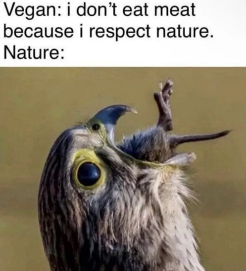 004454433ssa.png