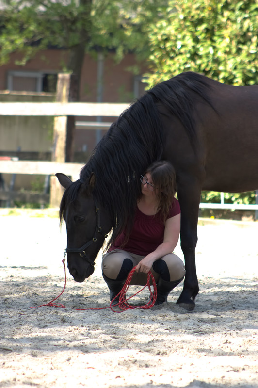 Heleen van Pol