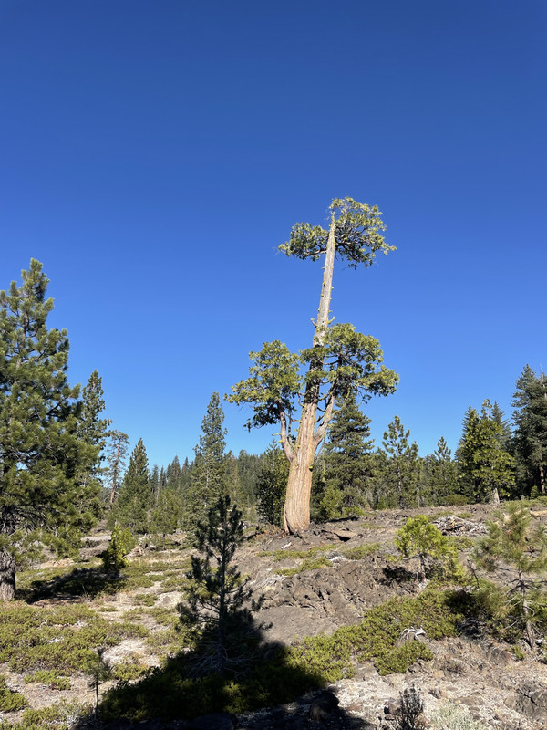 9911091D-D523-46BD-A74A-A9CD6DBB15BF