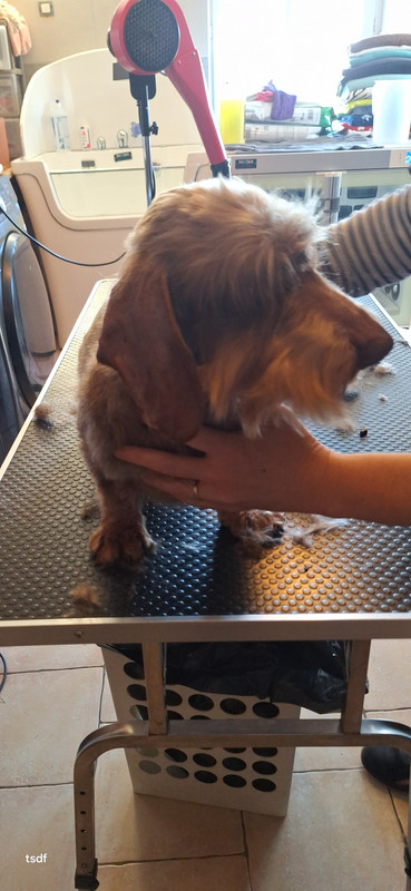 [Image: 20250305-114034.jpg]