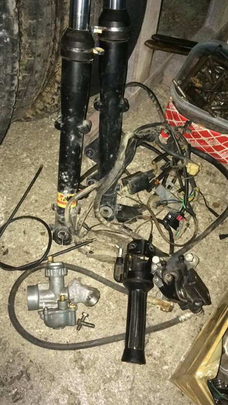 19758328_1810096379007440_716560524_n