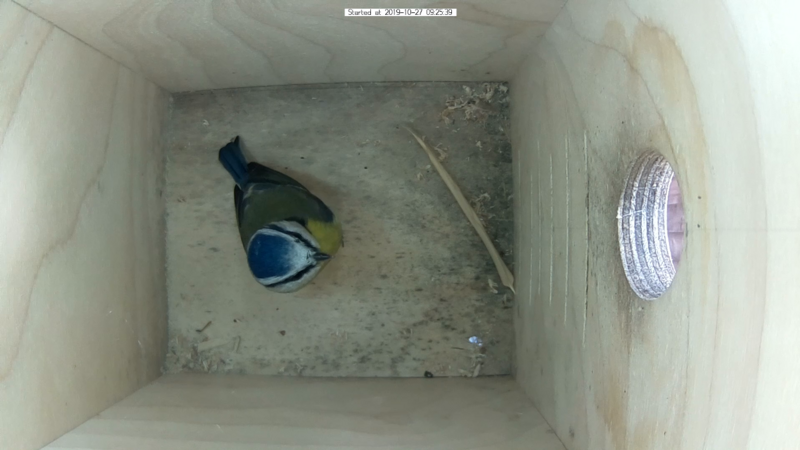 Untitled Project (Time 0_00_08;08)