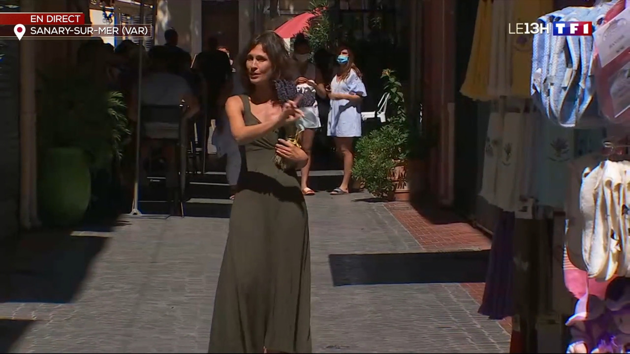 2020-08-26_13_00_TF1_Le-13h.mp4_snapshot_33.36.938