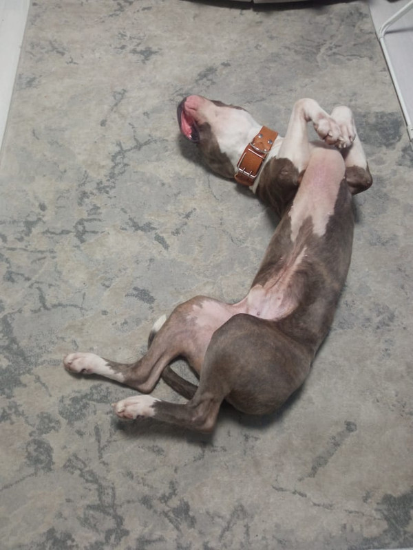 62238ECA-E216-44D7-8860-76EBE6939F17