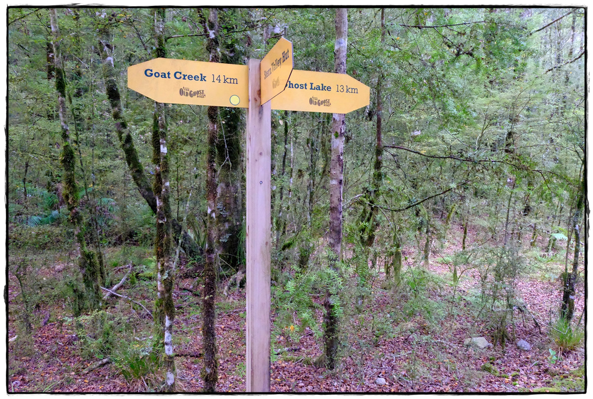 The Old Ghost Road (marzo 2024) - Escapadas y rutas por la Nueva Zelanda menos conocida (56)