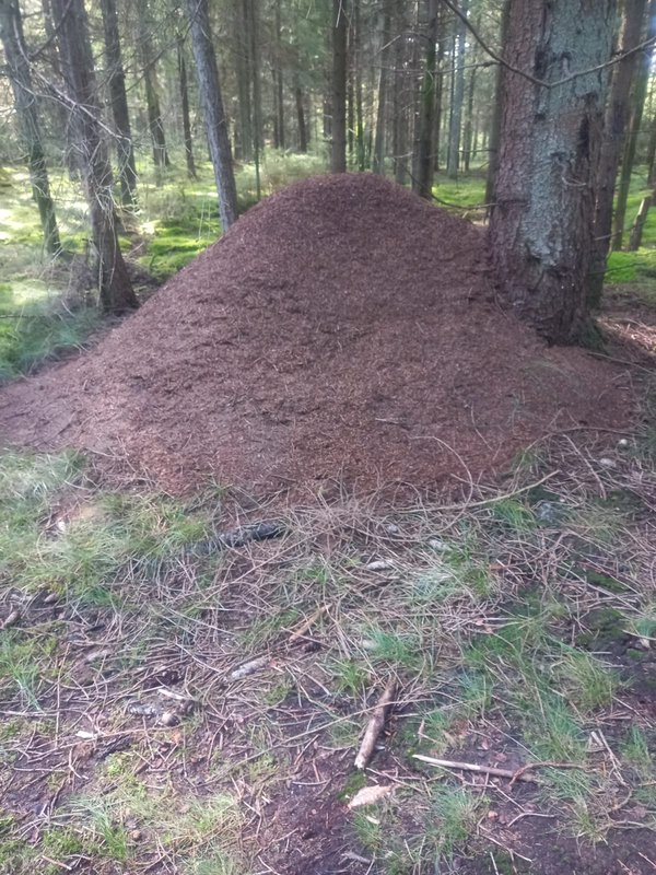 Изображение WhatsApp 2025-09-12 в 17.30.55_ea382687