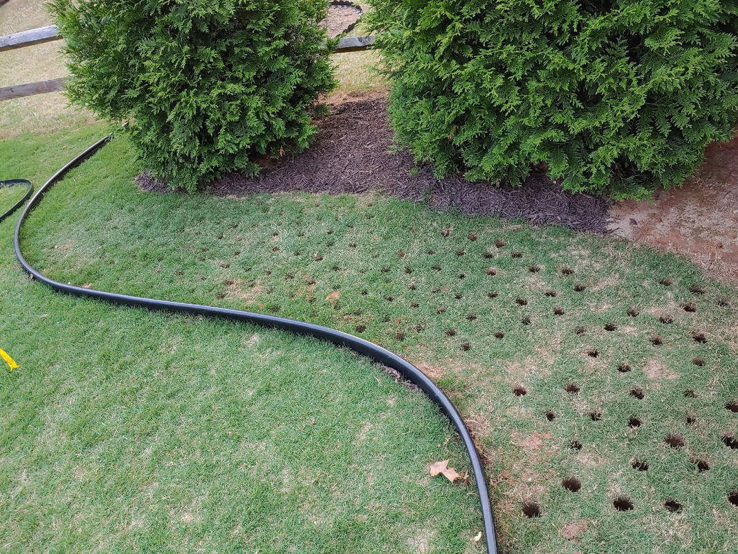 Tree Plug Out 2020 tree plug 05 8 — Postimages