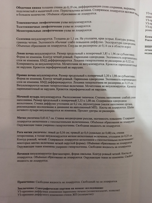 распечатка узи 2