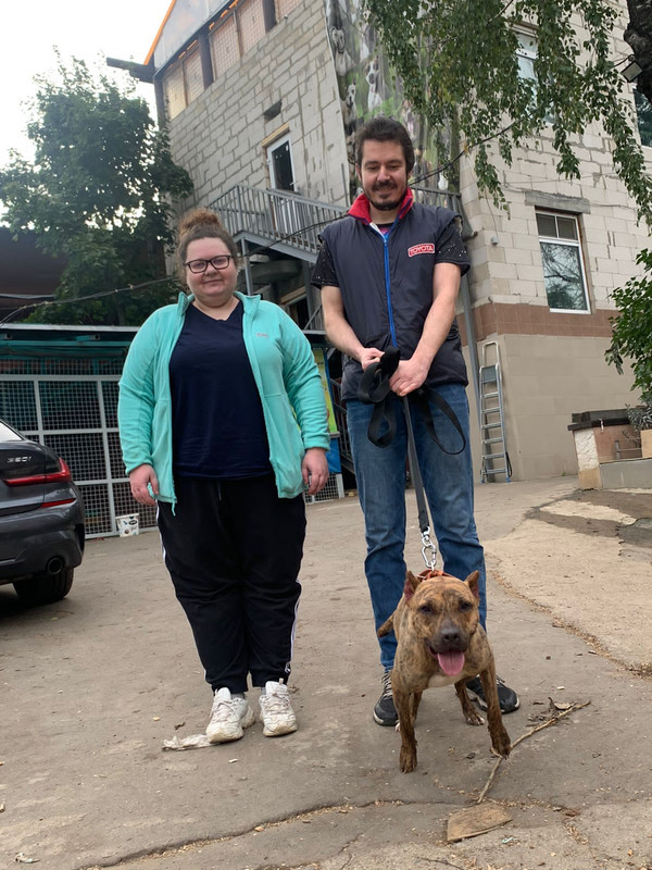 C6865E43-54CC-4180-BE90-B44461B0734D