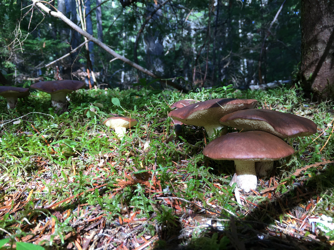 0076049C-EE57-4568-9897-630E218FB6F2