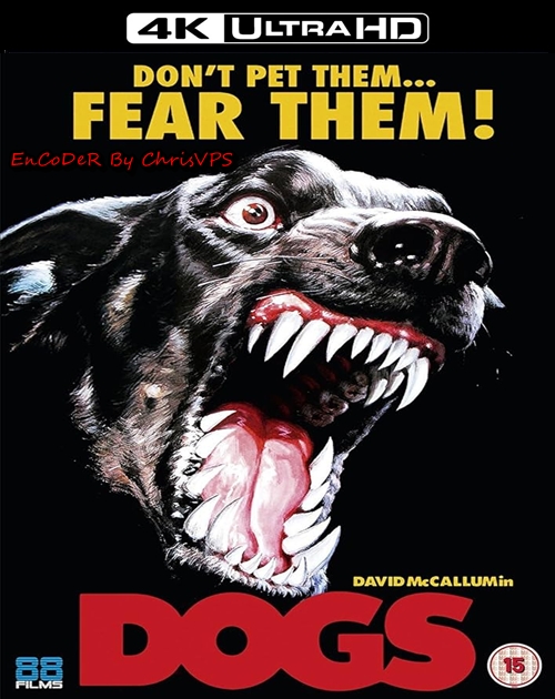 Dogs (1976) MULTI.HDR.2160p.BluRay.PCM.AC3-ChrisVPS / LEKTOR AI i NAPISY