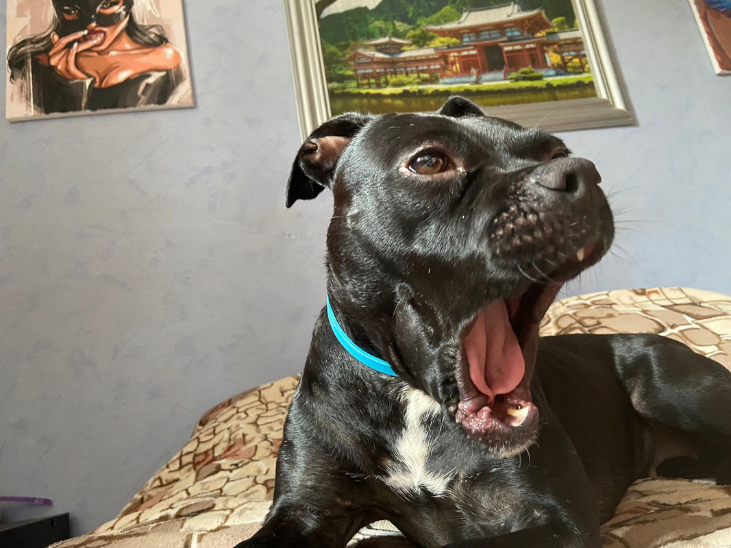 D666E160-C7DB-4FD5-9C58-0B5933B21A37