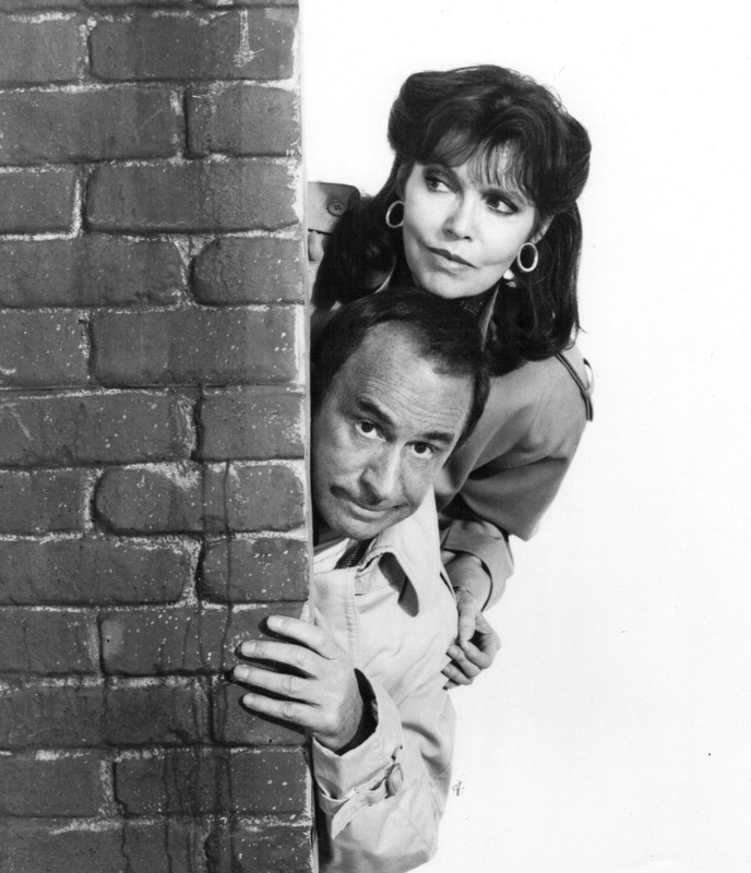 Barbara_Feldon_a65