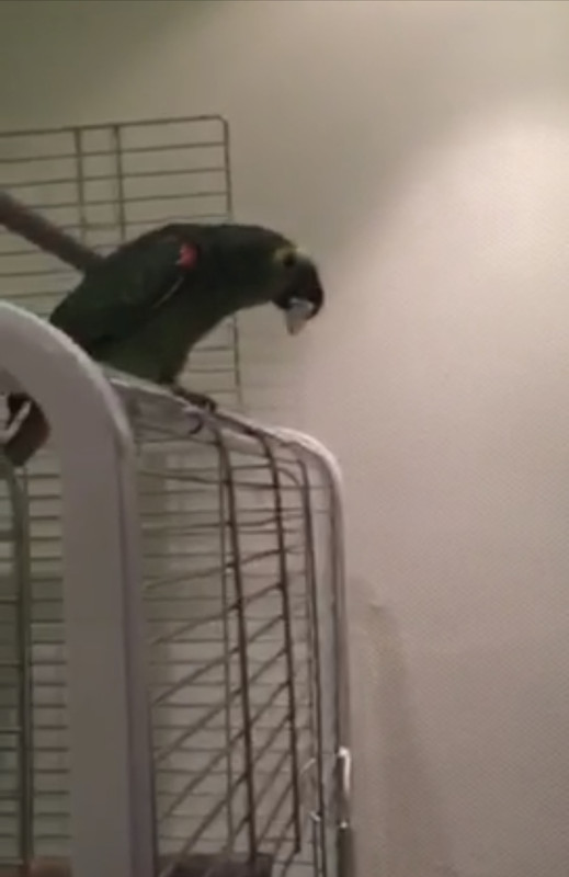 B5124147-ABE8-4E8E-A5A4-49C5D0874BB6