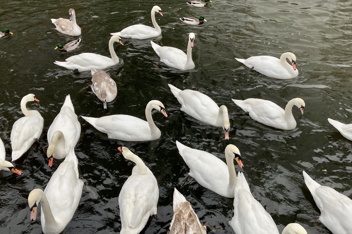 F7CCD896-7568-46EB-A6E3-53255D2E8CA1