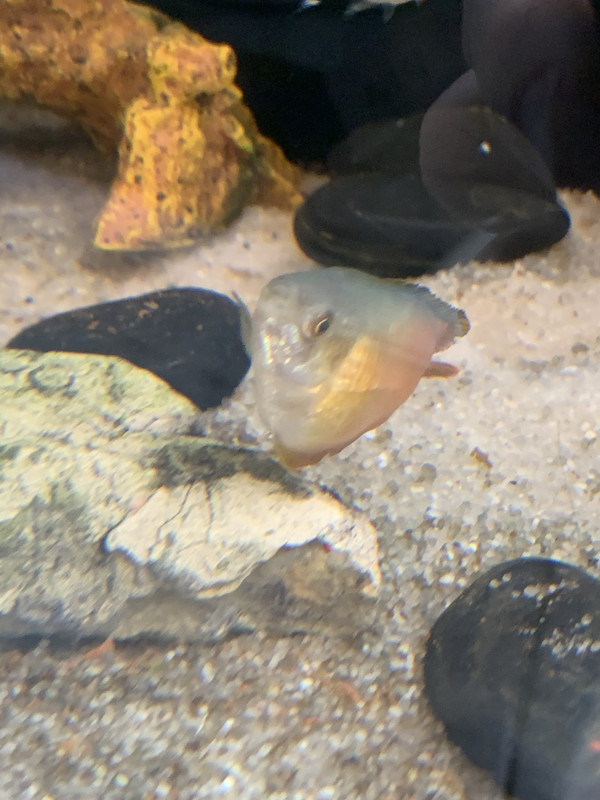 C9449CE1-3815-43CD-8C05-208FC84979BE