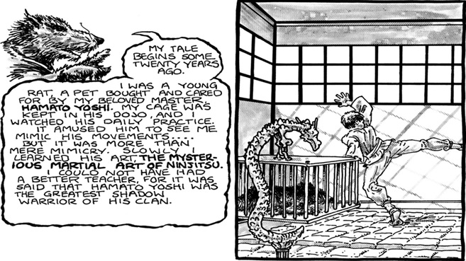 13NewPicture8-10_zpsd5925a20