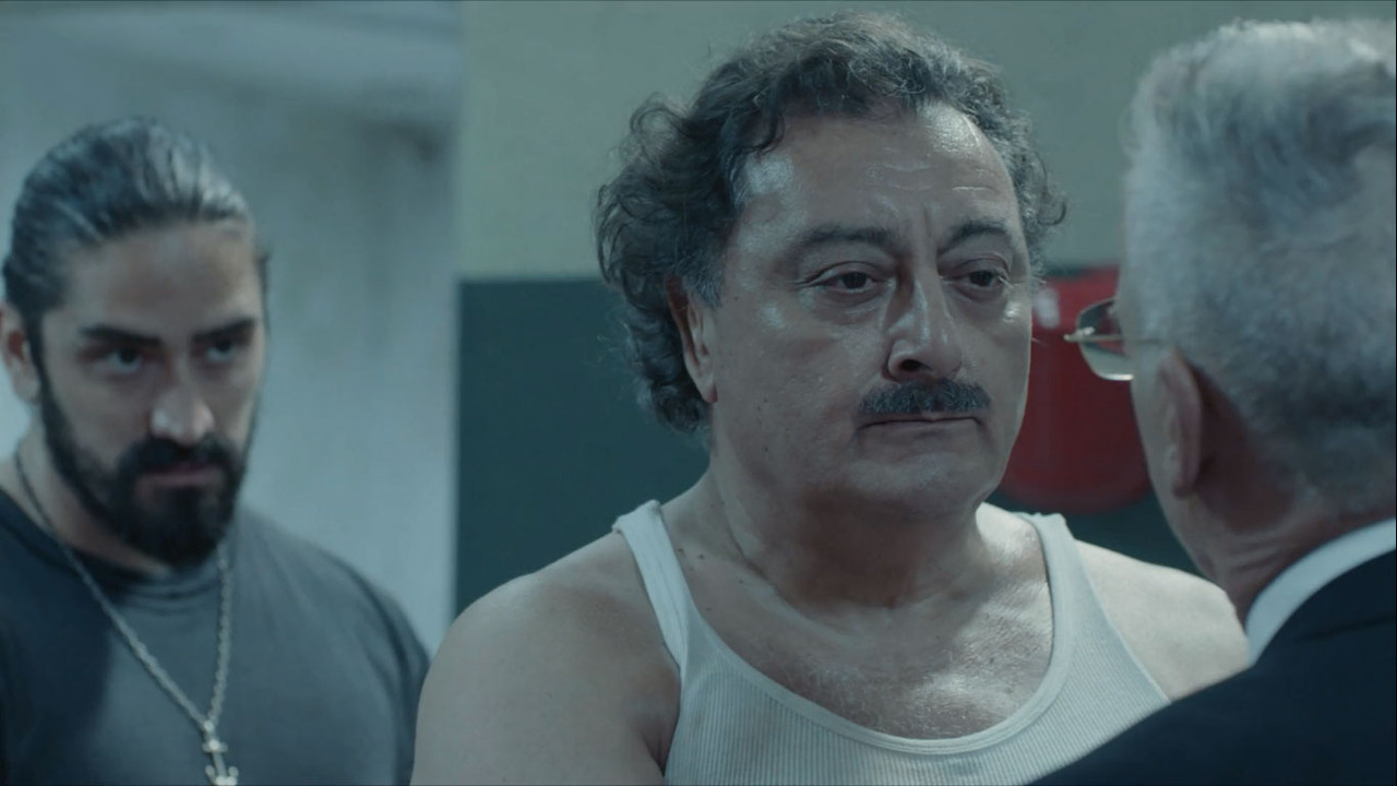 capturas