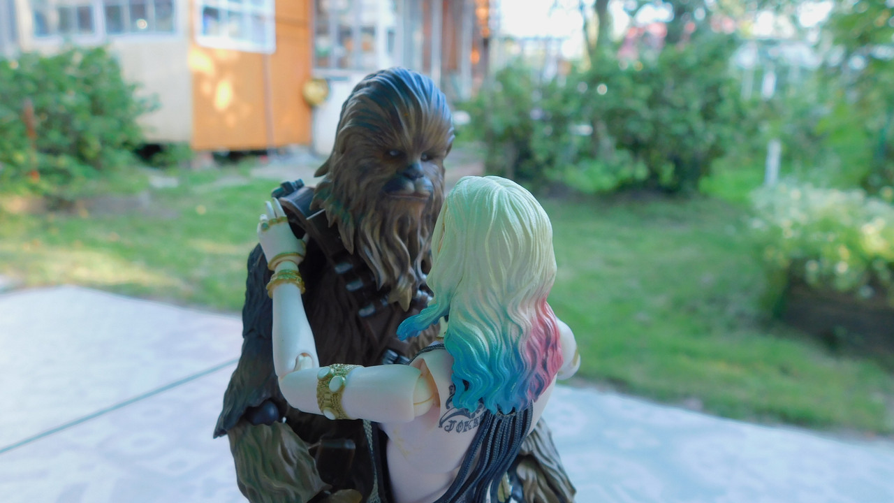 Дачно-барбейское июль, Харлинское 2-я серия 211