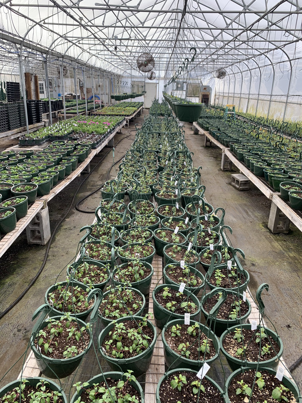 188EDF9D-8A32-4813-A20A-A64426D5F88D