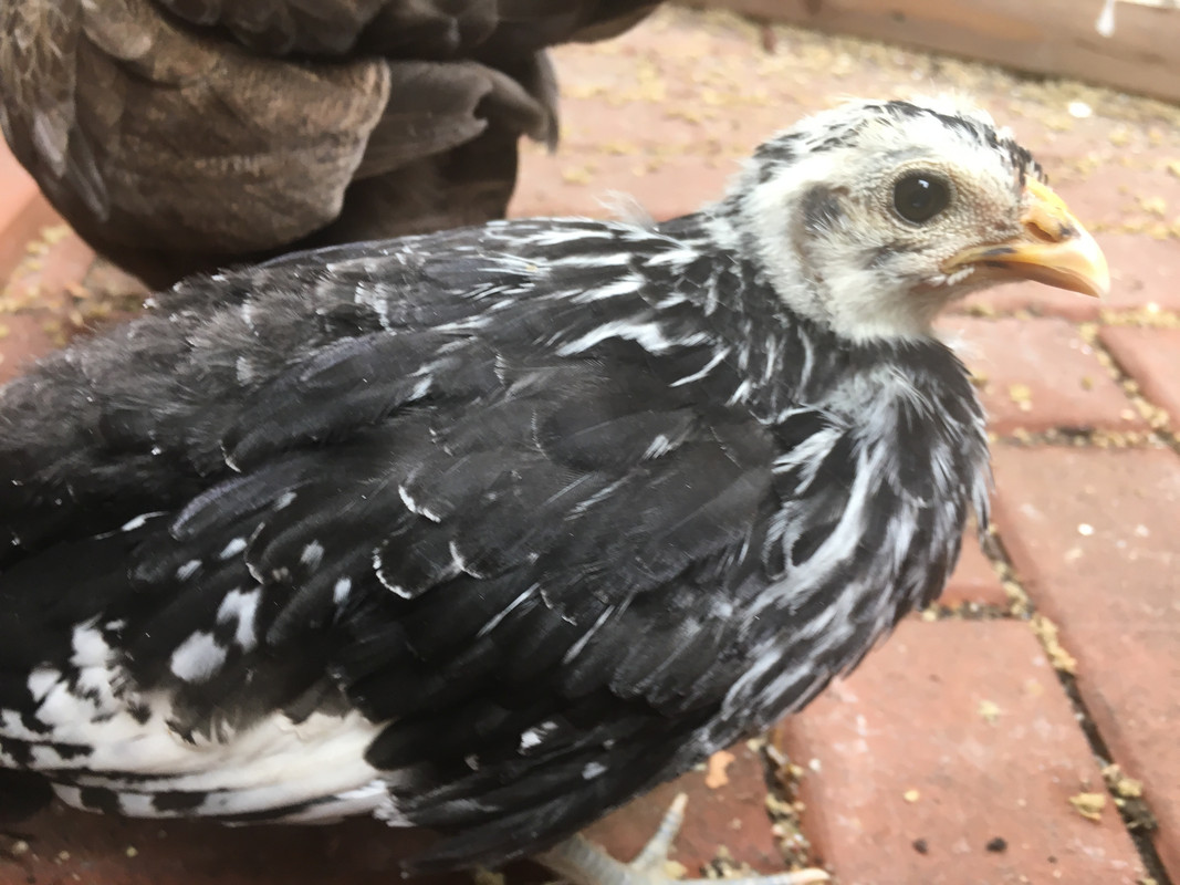 A94BB13D-680B-4C4B-9B45-E55C2788B1DA