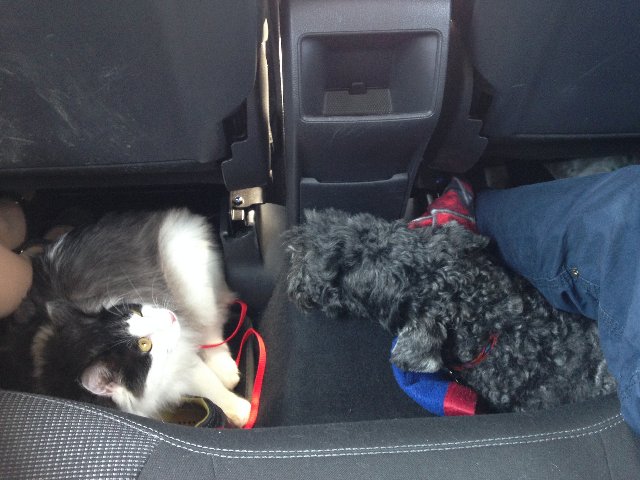 D30-FFD53-7304-4-F25-B000-08816554-DCF4.