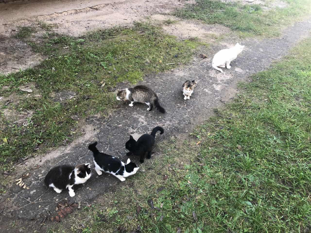 0B0C14B7-AC1D-4816-BC4A-53BE6654736D