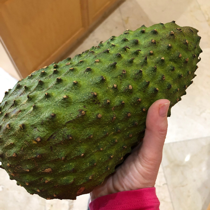 F3969F01-12F9-4C7C-945E-6AB9E929B039