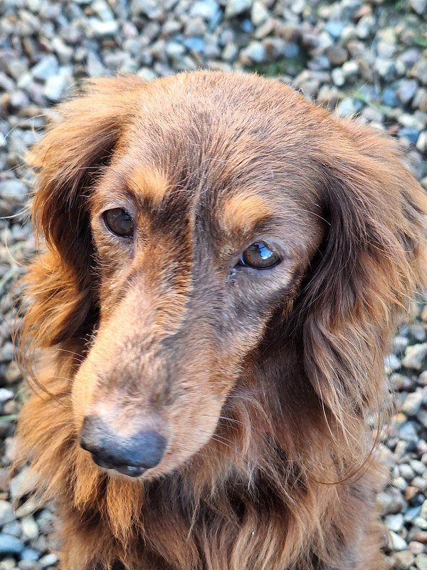 [Image: 20240324-181327-0.jpg]