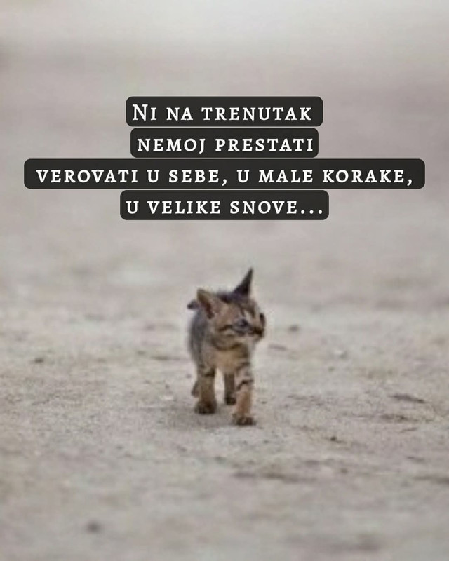 FB_IMG_1752405651713