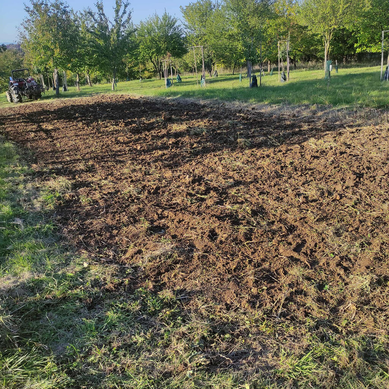 563205725_741252952302561_6108607419806304755_n