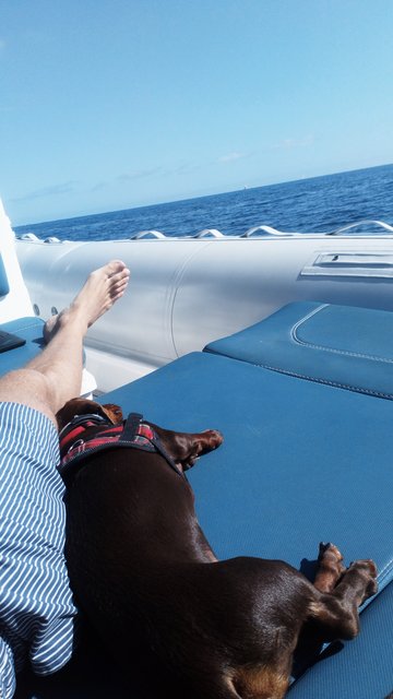 [Image: 20210527-165442.jpg]