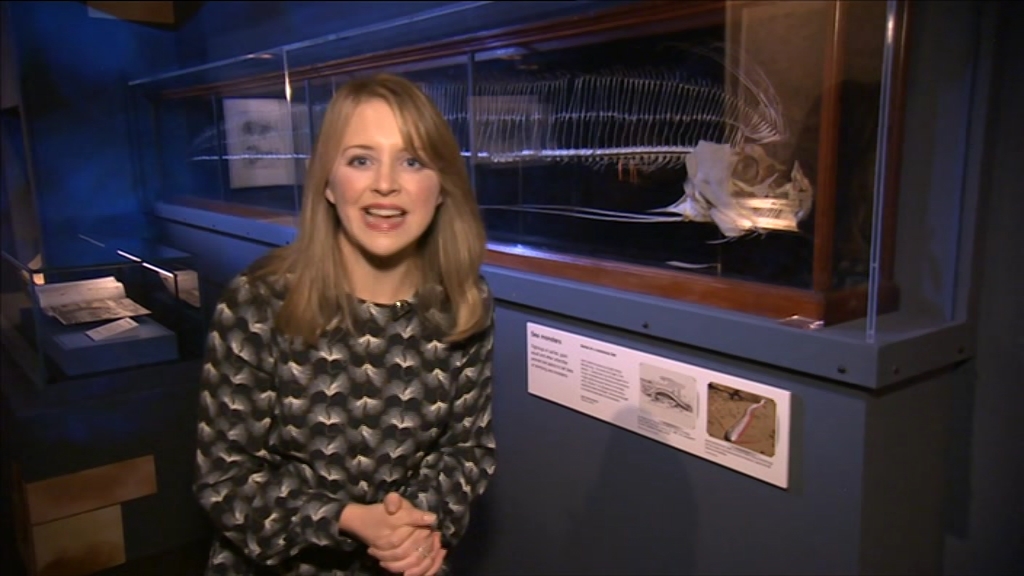 BBC London_20201210_13301345.ts_snapshot_12.32.164