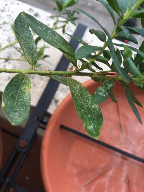 78024D46-AE79-4FE6-A4DF-9FEFE434D212