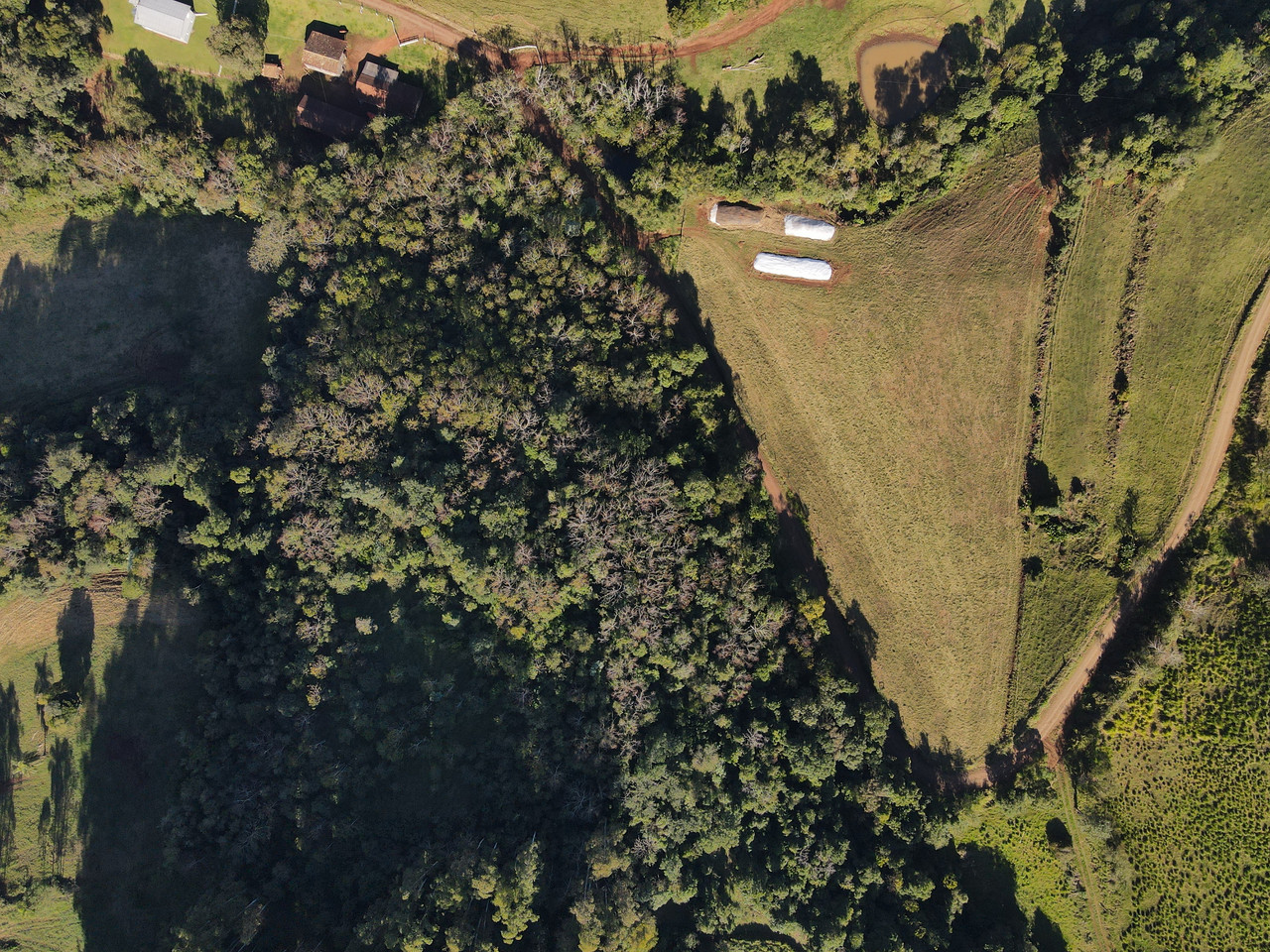 DJI-0415.jpg